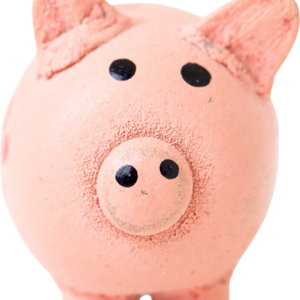 Piggy Bank Toy